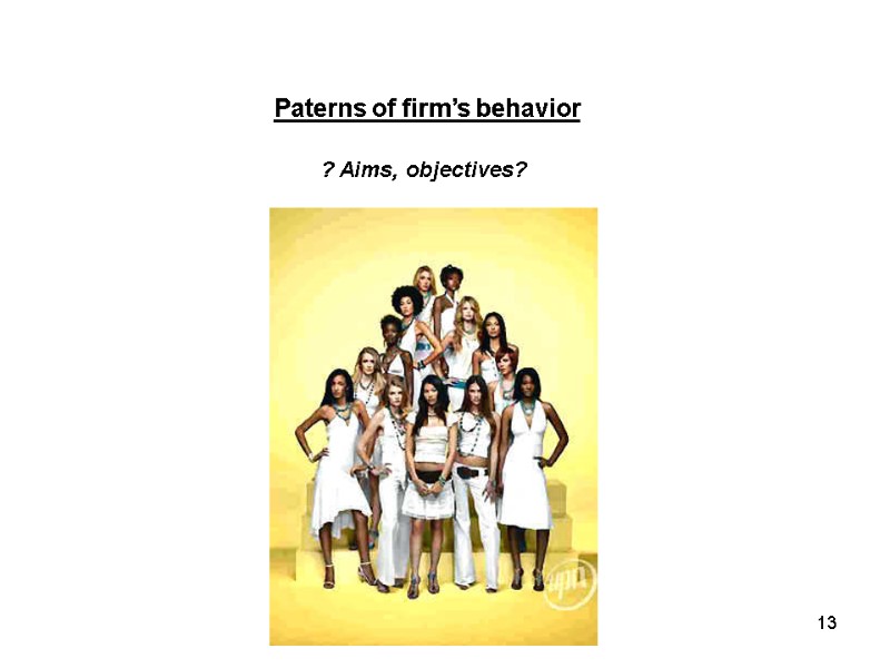 Paterns of firm’s behavior ? Aims, objectives? 13